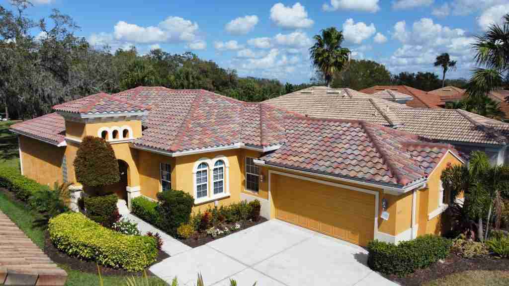 Alligator roof replacement